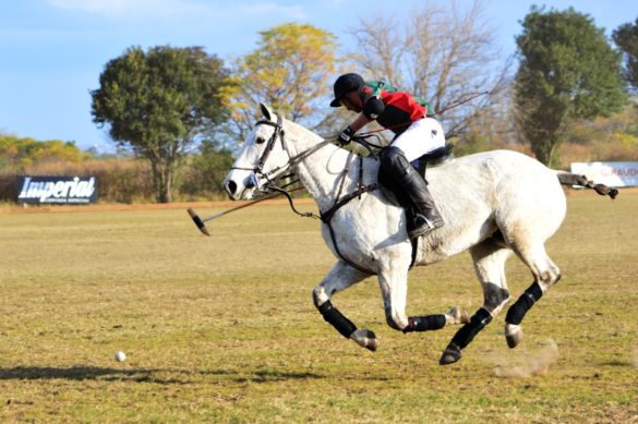 Torneo El Caburé El Caburé Polo School