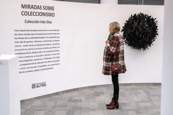 Miradas sobre coleccionismo -Colección Inés Díaz en Fundación OSDE