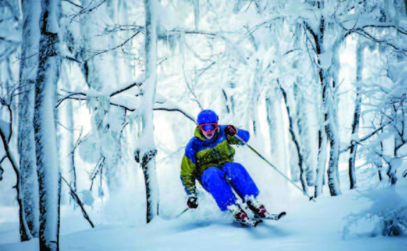 Chapelco -Neuquén