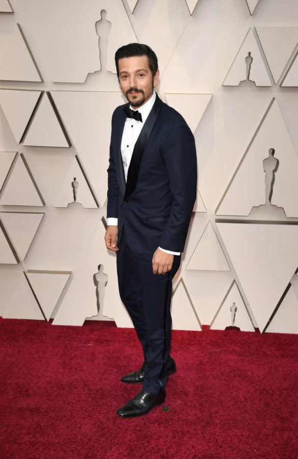 Premios Oscars 2019 -Alfombra Roja y Ganadores