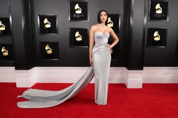 Grammy Awards 2019 -Los mejores Looks!