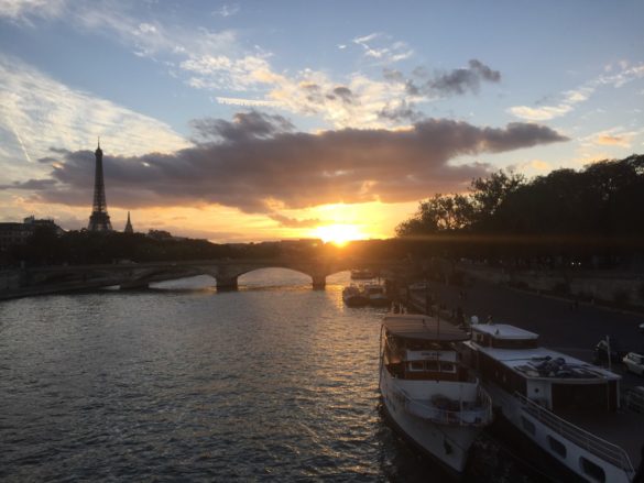 Recorriendo París con mi mascota