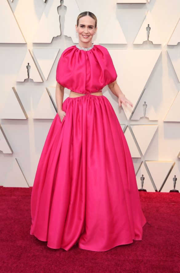 Premios Oscars 2019 -Alfombra Roja y Ganadores