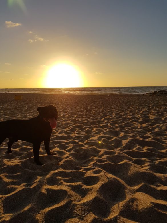 Vacacionando por la costa argentina -Pinamar, Mdq y Cariló