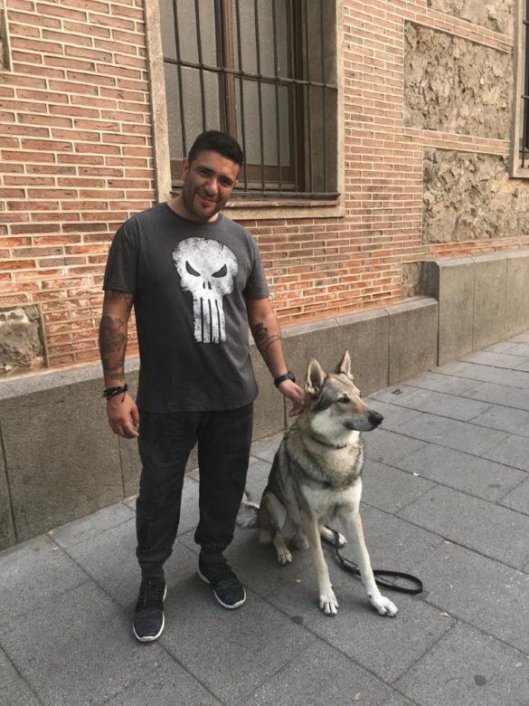 Visitando Madrid con mi mascota