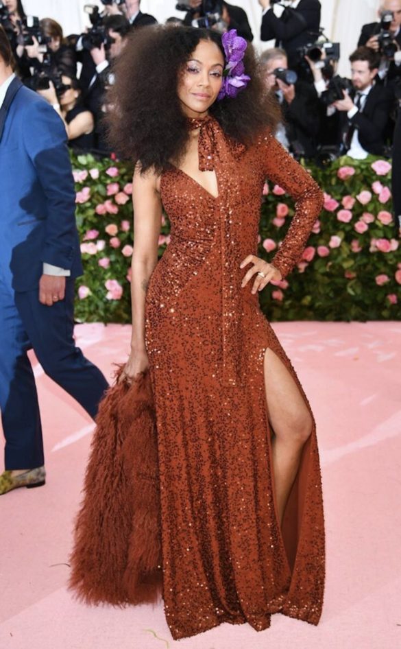 Met Gala 2019 -Alfombra Roja