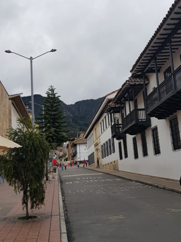 Bogotá, una ciudad petfriendly