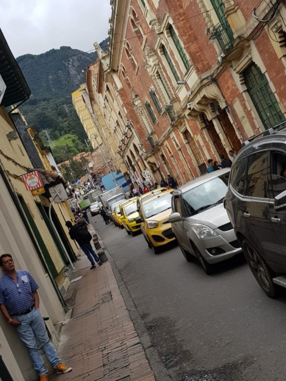 Bogotá, una ciudad petfriendly