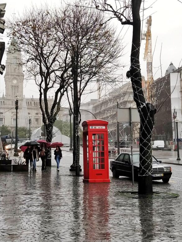 Ayuntamiento plaza de la libertad y avenida de los aliados 3 Porto -Portugal