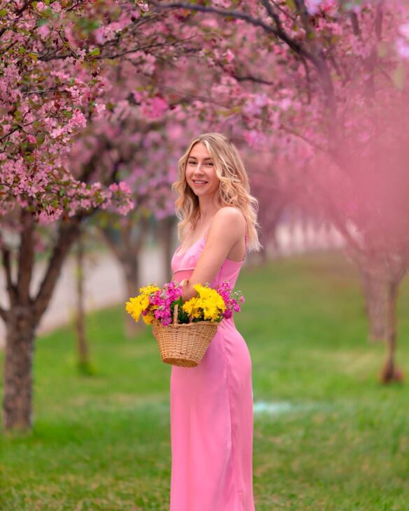 Cherry Blossoms